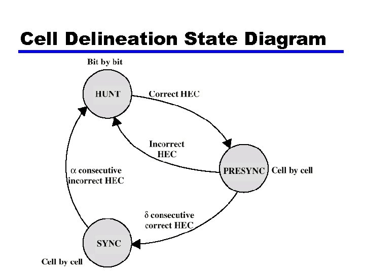 Cell Delineation State Diagram 