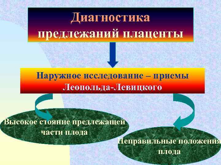 Диагностика предлежаний плаценты Наружное исследование – приемы Леопольда-Левицкого Высокое стояние предлежащей части плода Неправильные