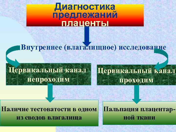 Диагностика предлежаний плаценты Внутреннее (влагалищное) исследование Цервикальный канал непроходим Цервикальный канал проходим Наличие тестоватости