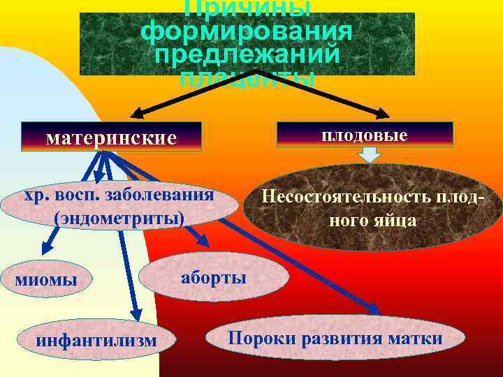 Причины формирования предлежаний плаценты плодовые материнские хр. восп. заболевания (эндометриты) миомы инфантилизм Несостоятельность плодного