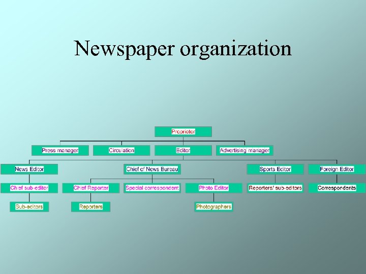 Newspaper organization 
