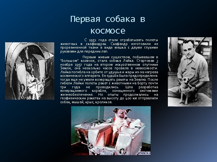 Первая собака в космосе С 1952 года стали отрабатывать полеты животных в скафандрах. Скафандр