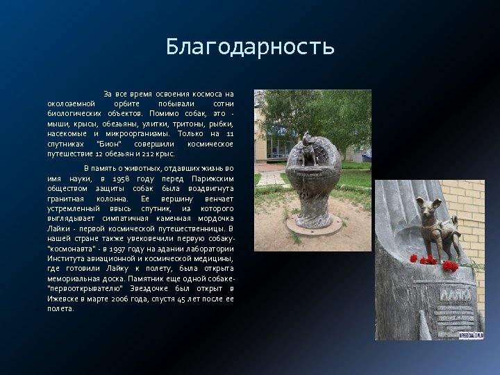 Благодарность За все время освоения космоса на околоземной орбите побывали сотни биологических объектов. Помимо