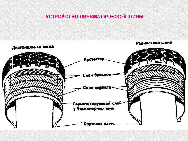 УСТРОЙСТВО ПНЕВМАТИЧЕСКОЙ ШИНЫ 