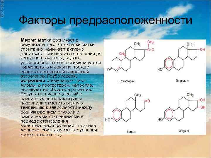 Факторы предрасположенности Миома матки возникает в результате того, что клетки матки спонтанно начинают активно