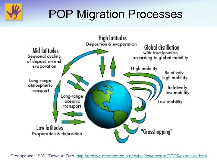 POP Migration Processes Greenpeace, 1999. “Down to Zero. http: //archive. greenpeace. org/toxics/downtozero/POPS/exposure. html. 