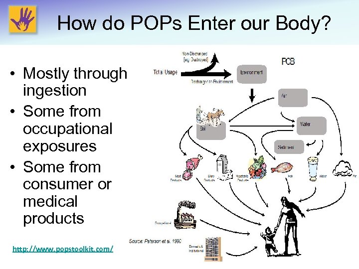How do POPs Enter our Body? • Mostly through ingestion • Some from occupational