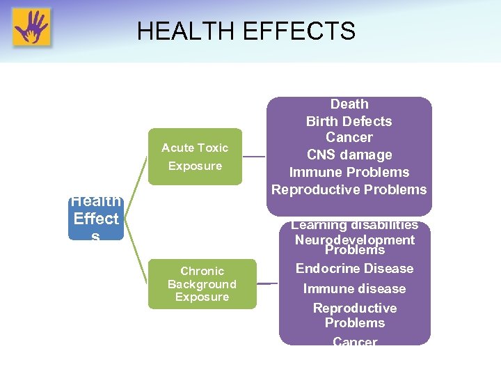 HEALTH EFFECTS Acute Toxic Exposure Health Effect s Chronic Background Exposure Death Birth Defects