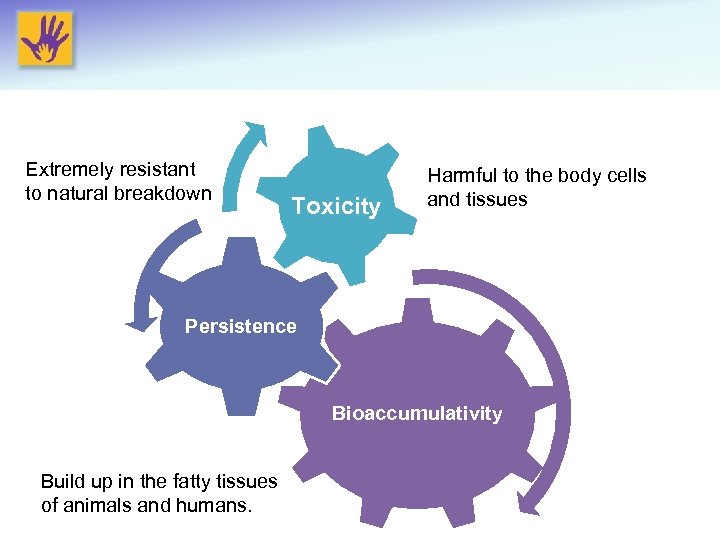 Extremely resistant to natural breakdown Toxicity Harmful to the body cells and tissues Persistence