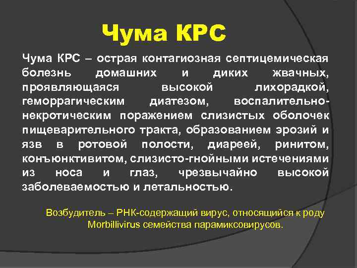 Чума КРС – острая контагиозная септицемическая болезнь домашних и диких жвачных, проявляющаяся высокой лихорадкой,
