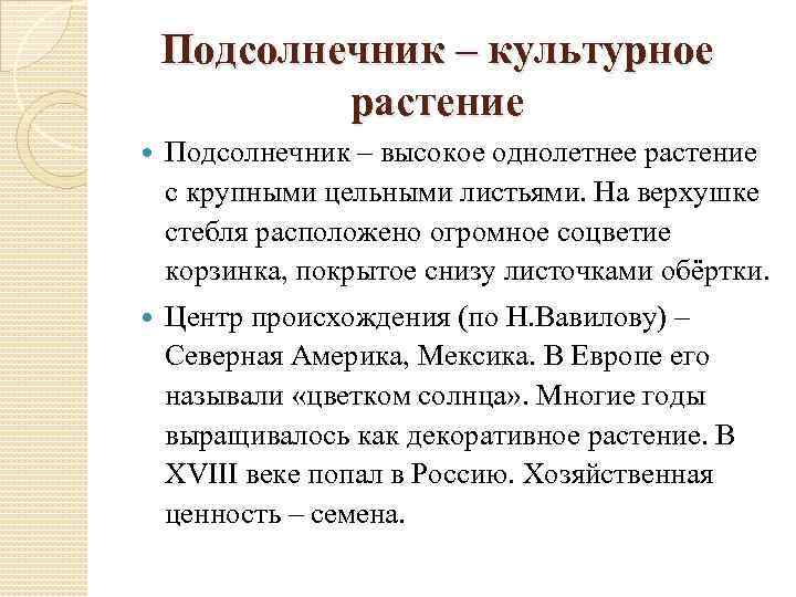 Подсолнечник – культурное растение Подсолнечник – высокое однолетнее растение с крупными цельными листьями. На