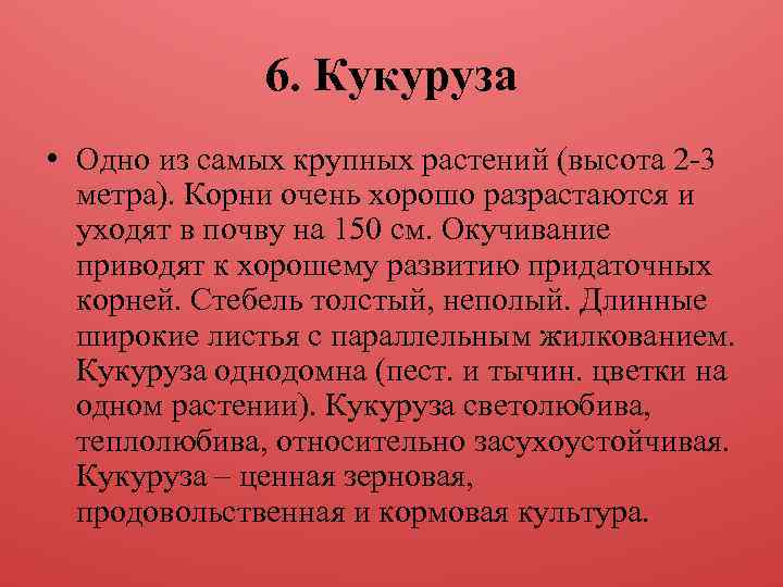 6. Кукуруза • Одно из самых крупных растений (высота 2 -3 метра). Корни очень