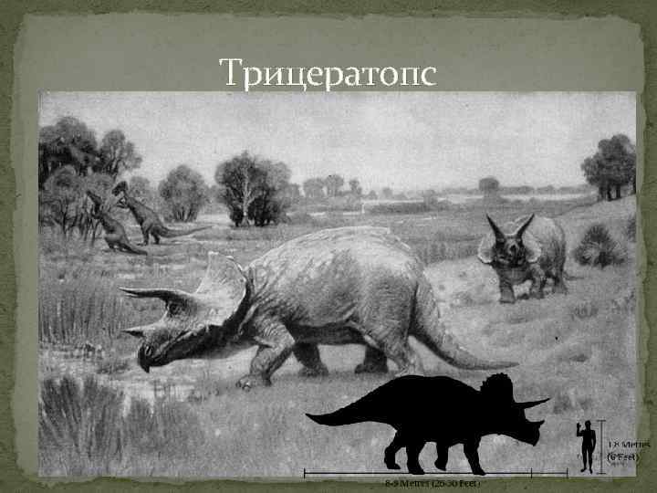 Эра средней. Мезозойская Эра в чб. Насекомые мезозойской эры фото. Мезозойская Эра фото насек. Черно белые рисунки на мезозойской эре.