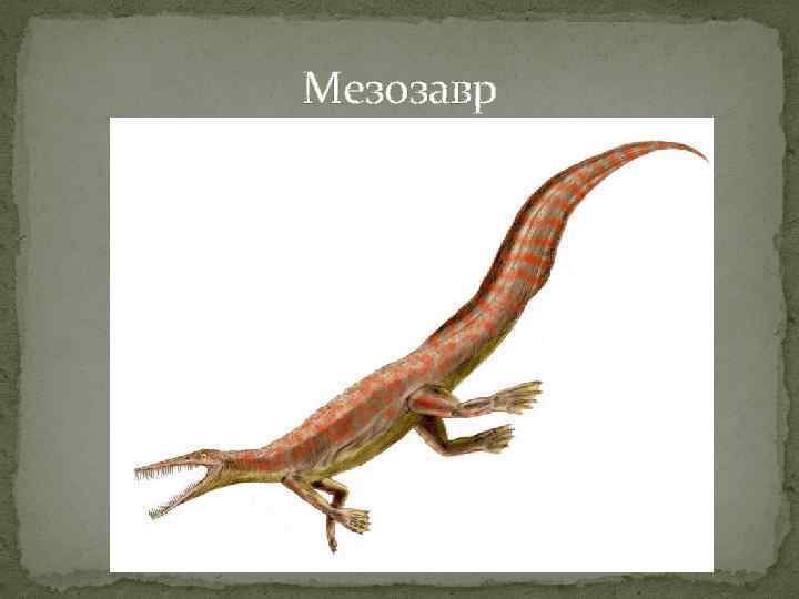 Мезозавр 