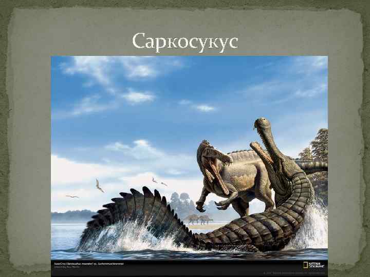 Саркосукус 