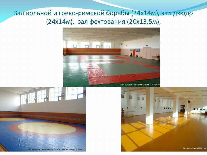 Зал вольной и греко-римской борьбы (24 х14 м), зал дзюдо (24 х14 м), зал