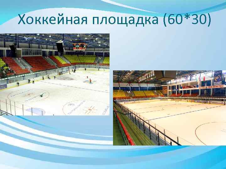 Хоккейная площадка (60*30) 
