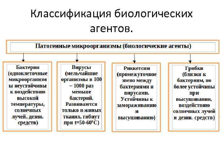 Классификация биологических агентов. 