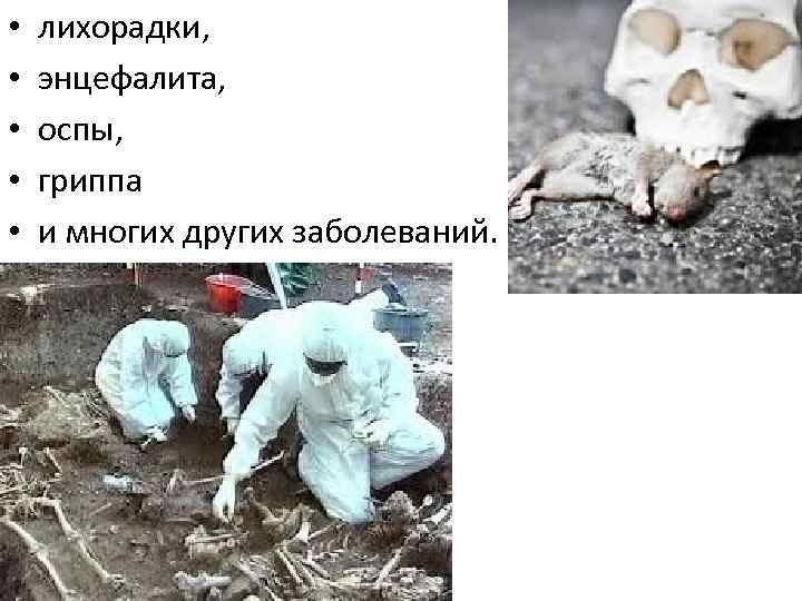  • • • лихорадки, энцефалита, оспы, гриппа и многих других заболеваний. 