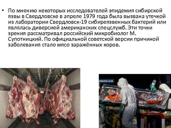  • По мнению некоторых исследователей эпидемия сибирской язвы в Свердловске в апреле 1979