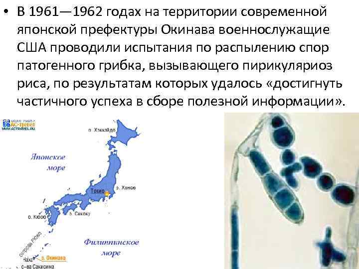  • В 1961— 1962 годах на территории современной японской префектуры Окинава военнослужащие США