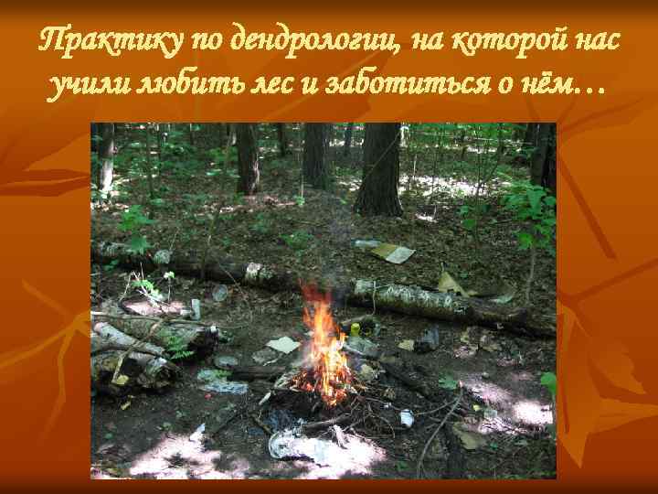 Практику по дендрологии, на которой нас учили любить лес и заботиться о нём… 
