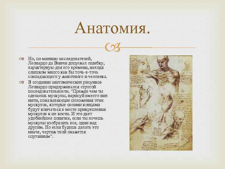 Анатомия. Но, по мнению исследователей, Леонардо да Винчи допускал ошибку, характерную для его времени,