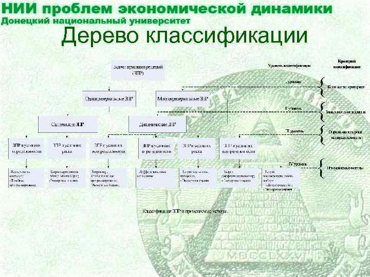 Классификация деревьев. Классификация древесины. Систематика дерева. Классификация деревьев схема.