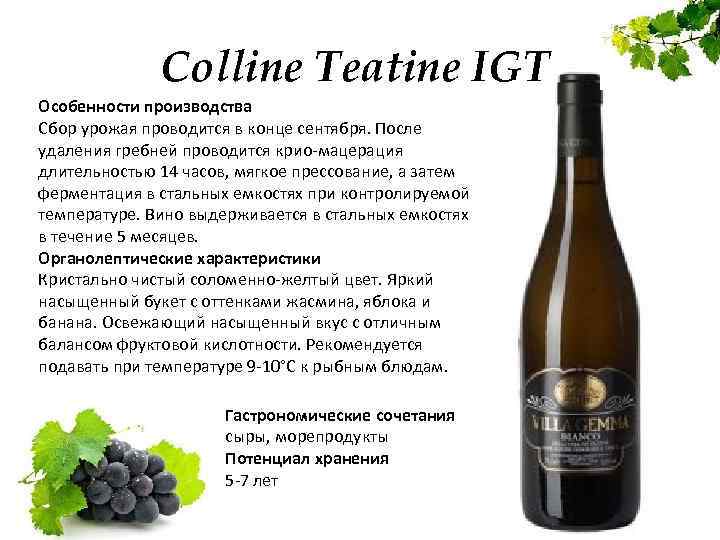 Colline Teatine IGT Особенности производства Сбор урожая проводится в конце сентября. После удаления гребней