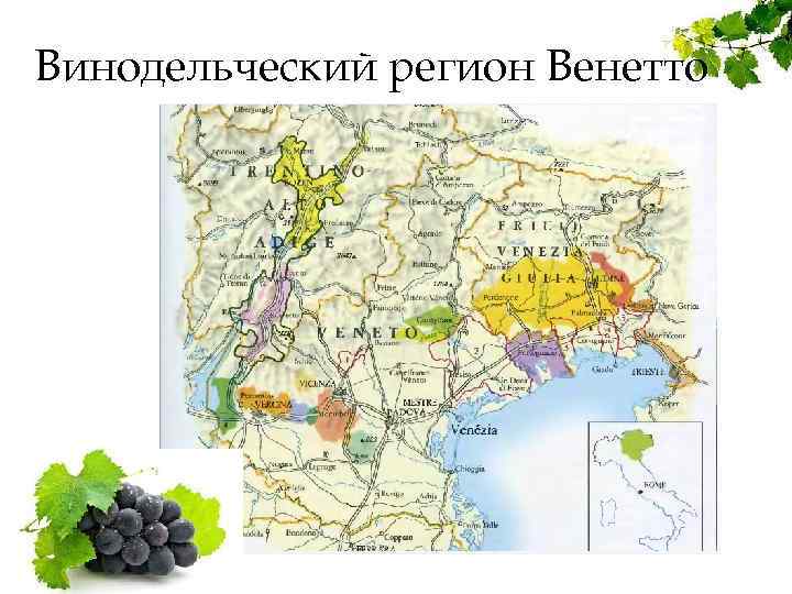 Винодельческий регион Венетто 