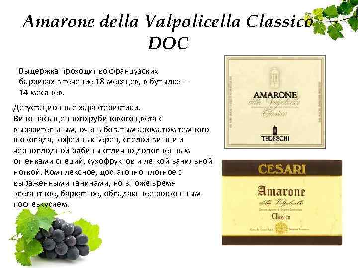 Amarone della Valpolicella Classico DOC Выдержка проходит во французских барриках в течение 18 месяцев,