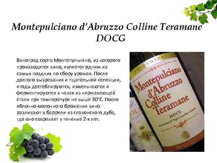 Montepulciano d’Abruzzo Colline Teramane DOCG Виноград сорта Монтепульчано, из которого производится вино, является одним