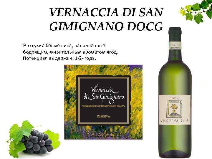 VERNACCIA DI SAN GIMIGNANO DOCG Это сухие белые вина, наполненные бодрящим, живительным ароматом ягод.