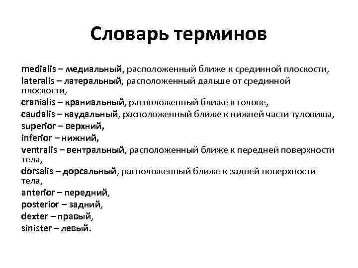 Словарь терминов medialis – медиальный, расположенный ближе к срединной плоскости, lateralis – латеральный, расположенный