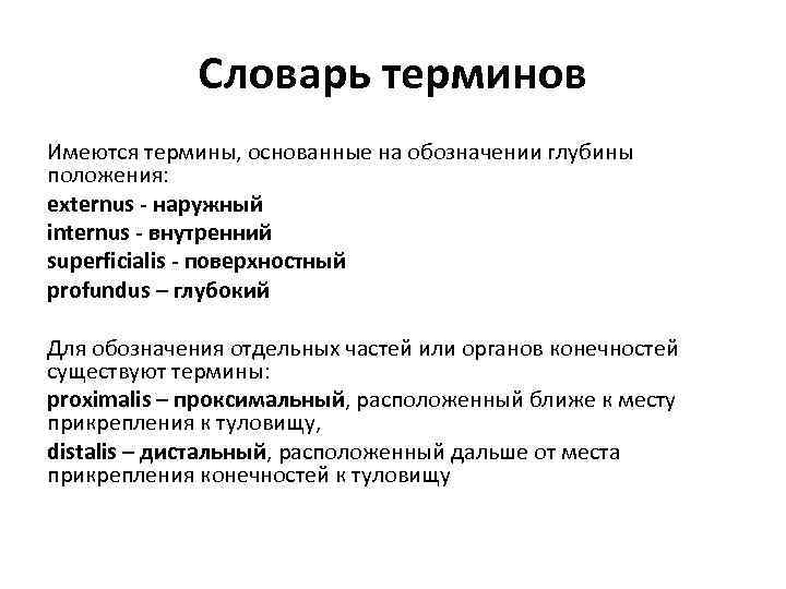 Словарь терминов Имеются термины, основанные на обозначении глубины положения: externus - наружный internus -