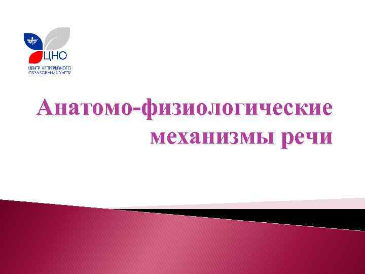 Анатомо-физиологические механизмы речи 