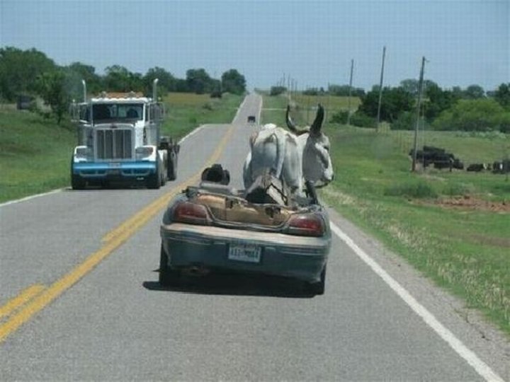  5/9/12 Ó Performance Development Corporation, 2002. All Rights Reserved. pdc 