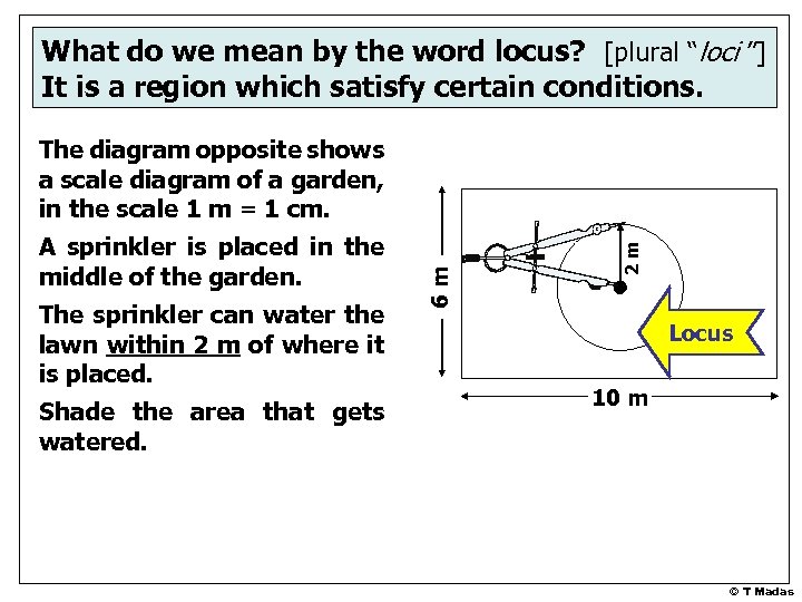 What do we mean by the word locus? [plural “loci ”] It is a