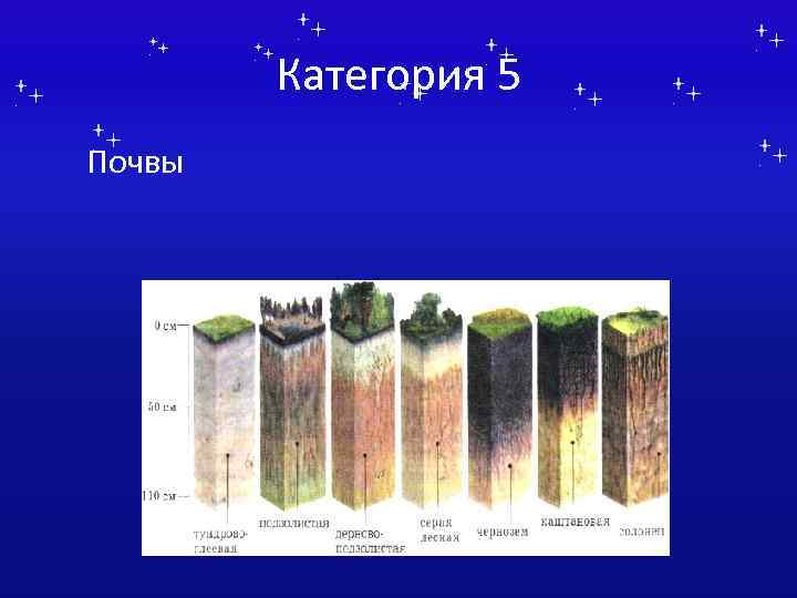 Категория 5 Почвы 