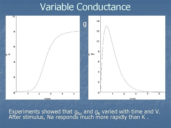 Variable Conductance g Experiments showed that g. Na and g. K varied with time