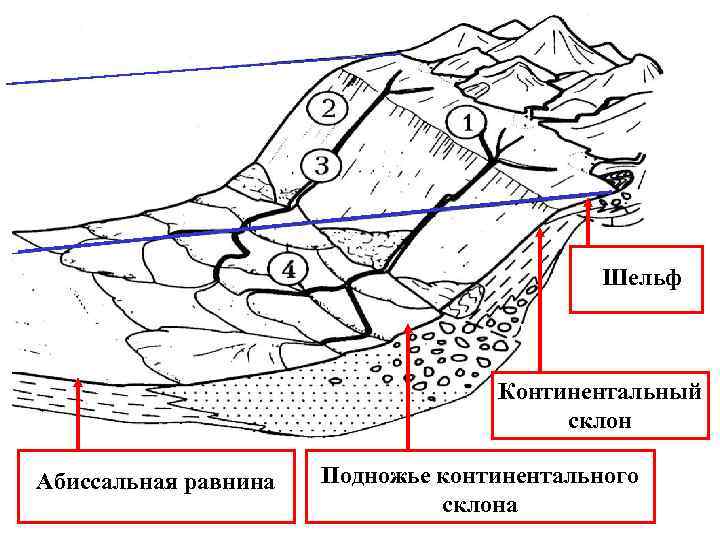 Какой цифрой на рисунке обозначен континентальный склон