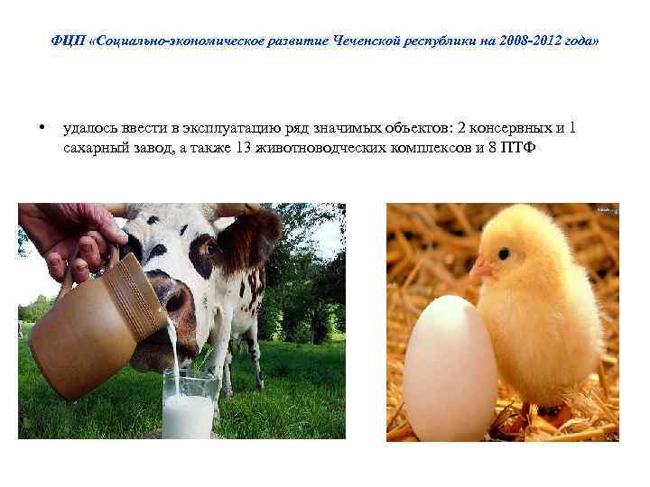 ФЦП «Социально-экономическое развитие Чеченской республики на 2008 -2012 года» • удалось ввести в эксплуатацию