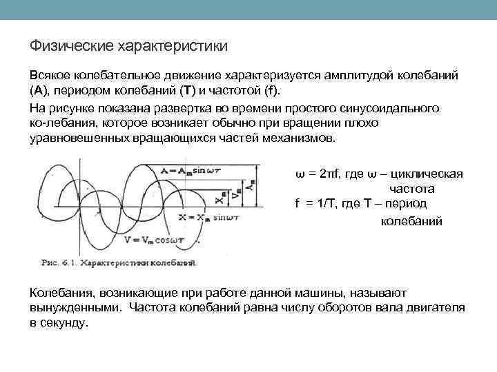 Физические характеристики Всякое колебательное движение характеризуется амплитудой колебаний (А), периодом колебаний (T) и частотой