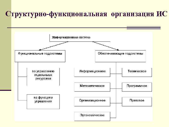 Структурно-функциональная организация ИС 