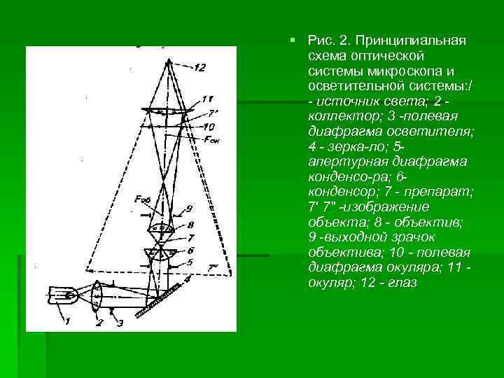 Микроскоп схема линз