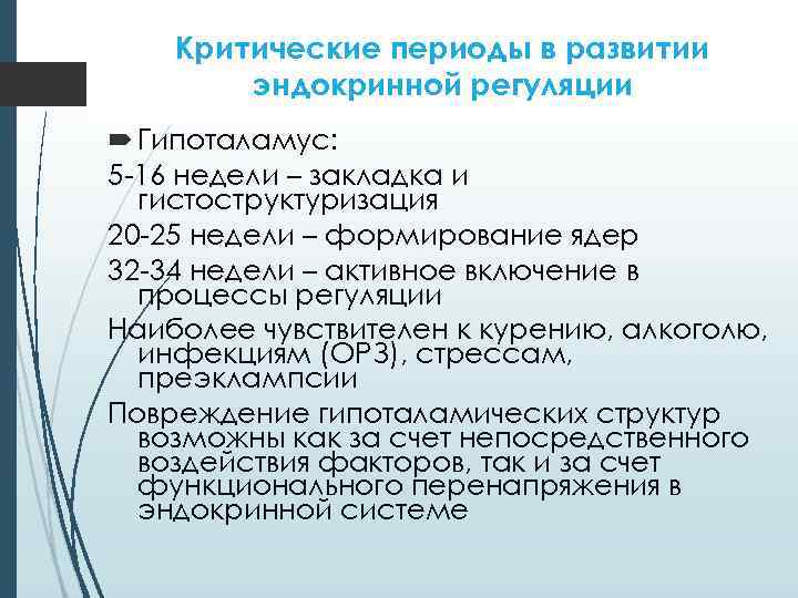 Критические периоды в развитии эндокринной регуляции Гипоталамус: 5 -16 недели – закладка и гистоструктуризация