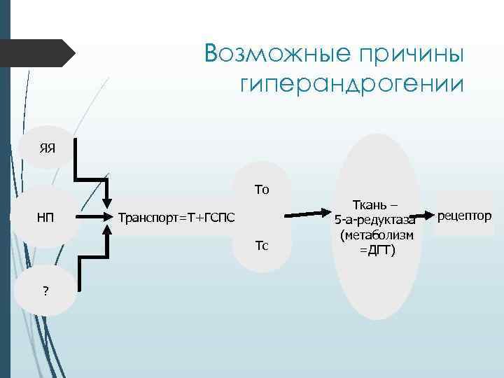 Возможные причины гиперандрогении ЯЯ То НП Транспорт=Т+ГСПС Тс ? Ткань – 5 -а-редуктаза (метаболизм