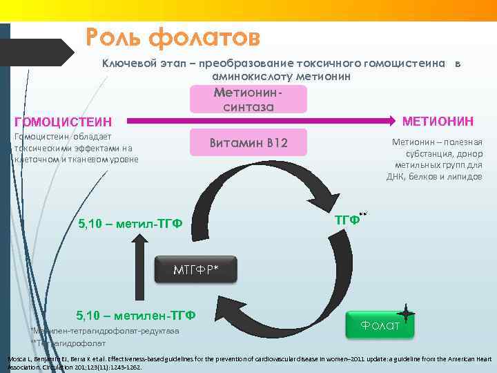 Роль фолатов Ключевой этап – преобразование токсичного гомоцистеина в аминокислоту метионин Метионинсинтаза МЕТИОНИН ГОМОЦИСТЕИН