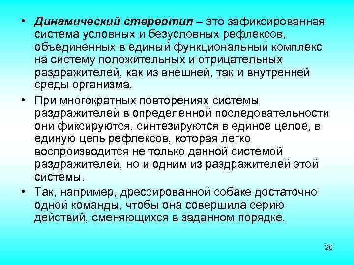  • Динамический стереотип – это зафиксированная система условных и безусловных рефлексов, объединенных в