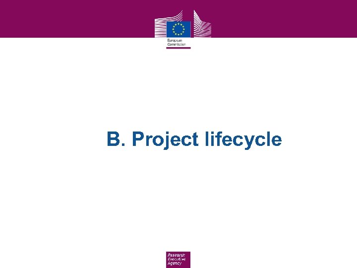 B. Project lifecycle 